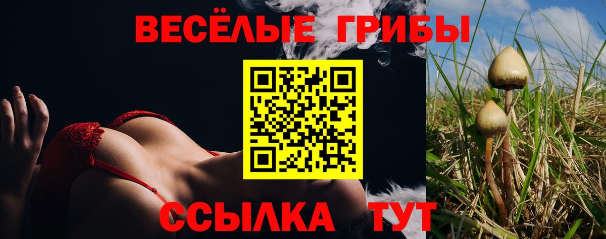 Галлюциногенные грибы Cubensis  Вход с VPN  Саяногорск 