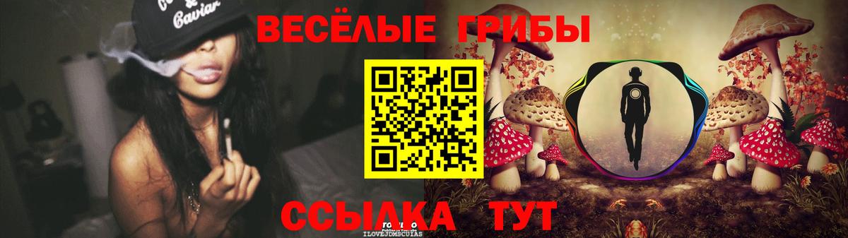 Галлюциногенные грибы MAGIC MUSHROOMS Саяногорск
